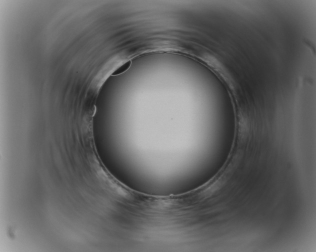 X0000103491385200809191912