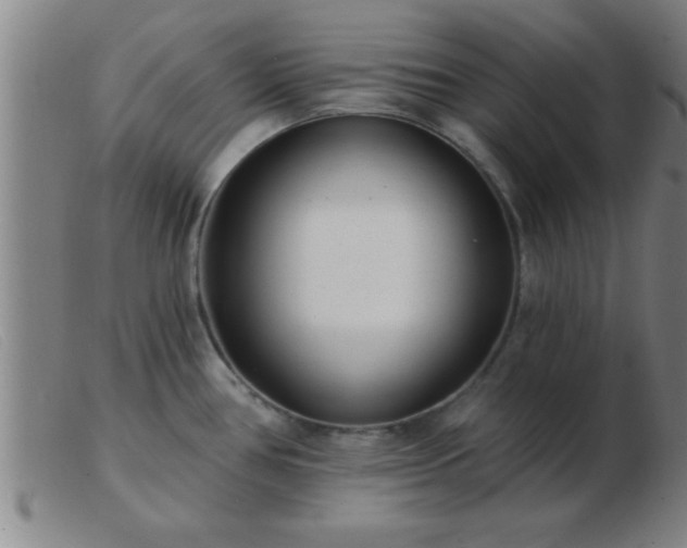 X0000103491386200809191912