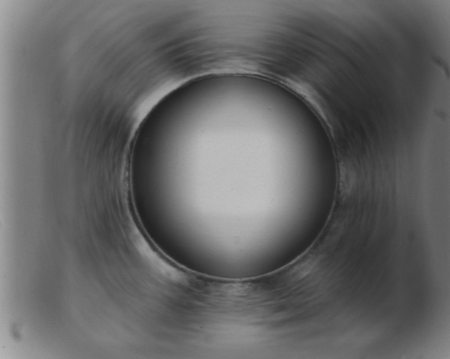 X0000103491387200809191912