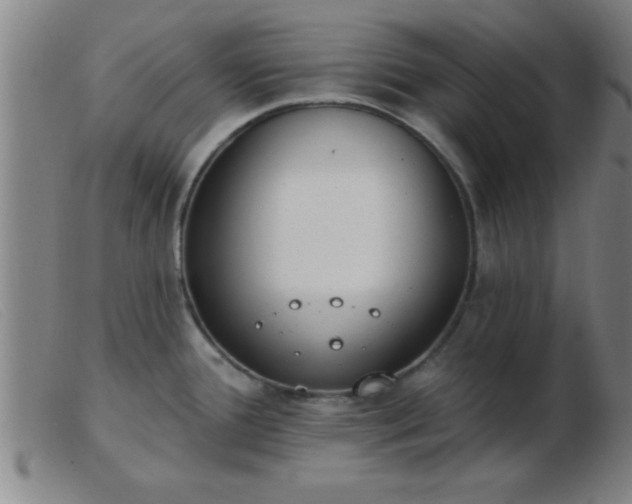 X0000103491388200809191912