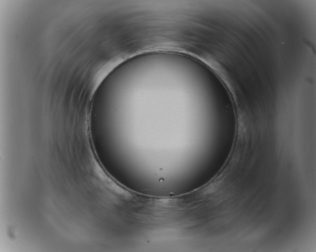 X0000103491390200809191912