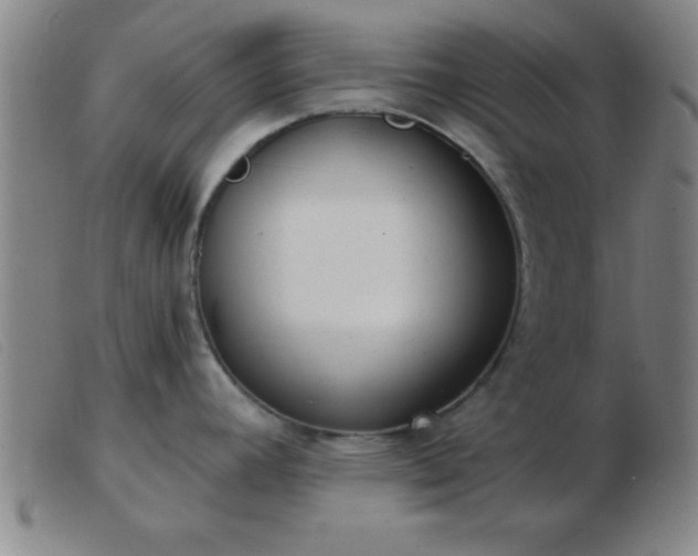 X0000103491392200809191912