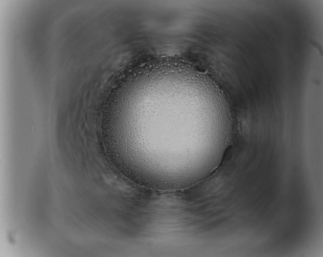 X0000103491393200809191911