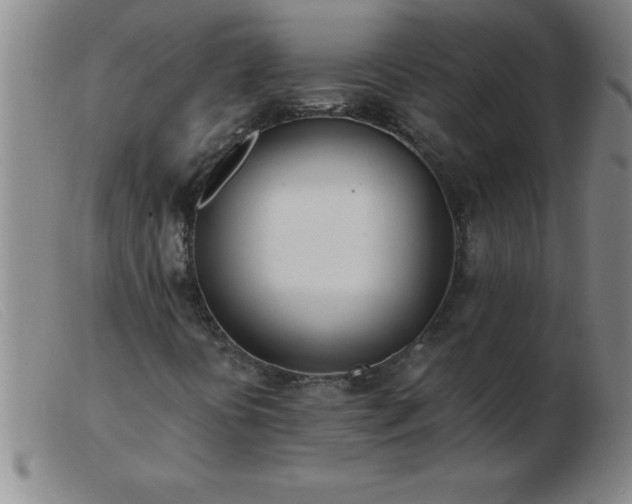 X0000103491394200809191911