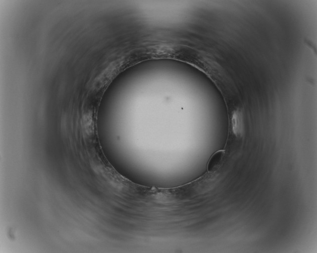 X0000103491395200809191911