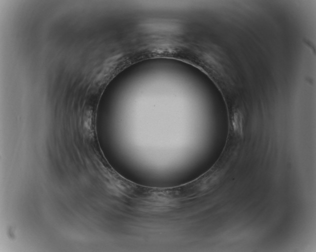 X0000103491396200809191911