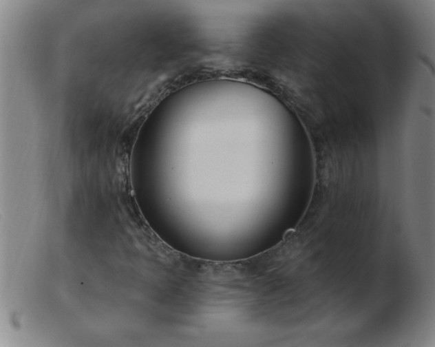 X0000103491397200809191911