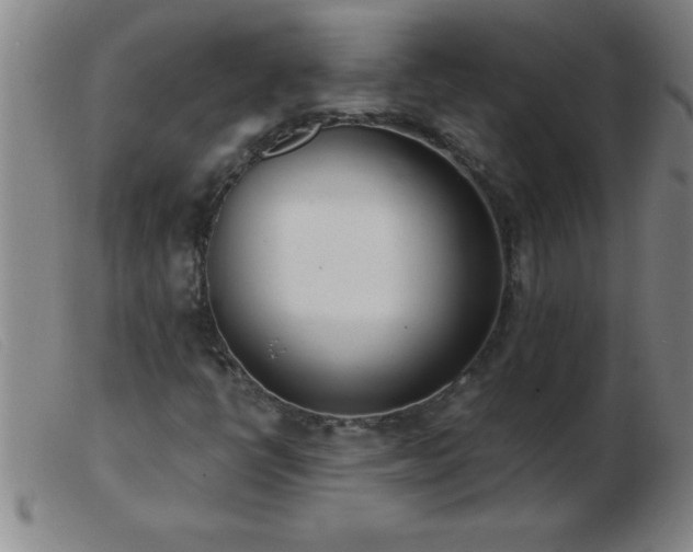 X0000103491398200809191911