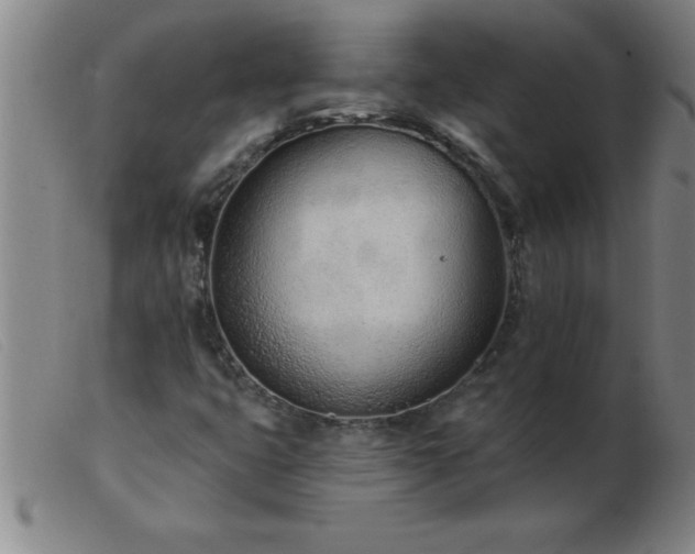 X0000103491399200809191911