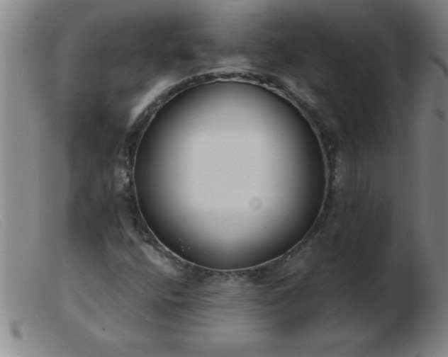 X0000103491400200809191911