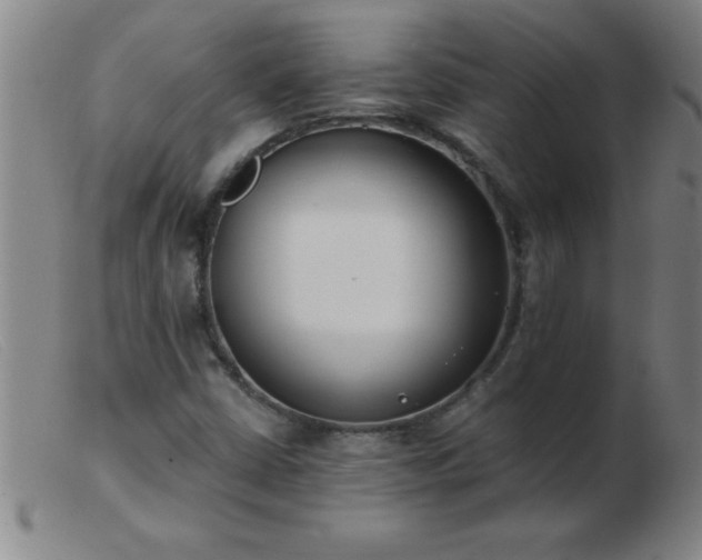 X0000103491402200809191911