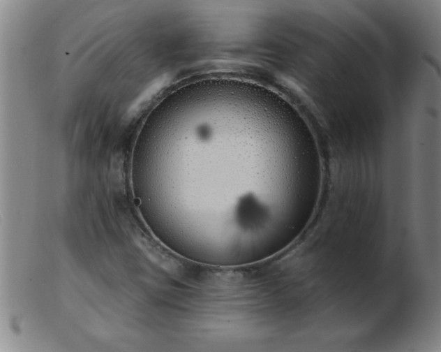 X0000103491403200809191911