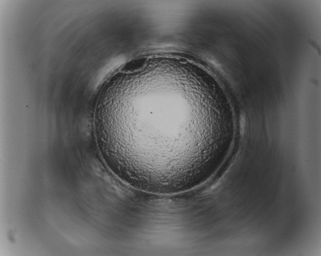 X0000103491405200809191912