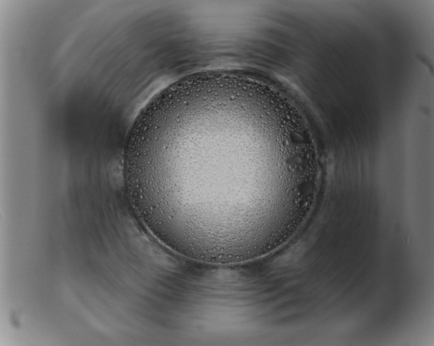 X0000103491409200809191912