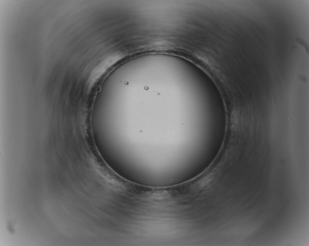 X0000103491410200809191912