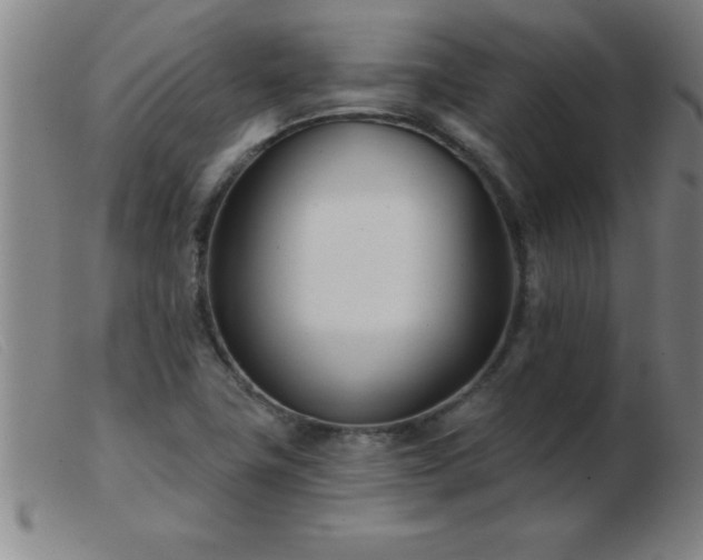 X0000103491411200809191912