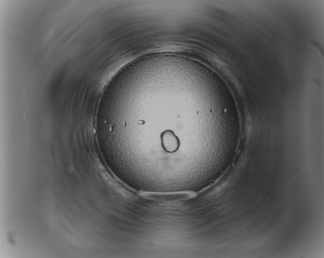 X0000103491417200809191912