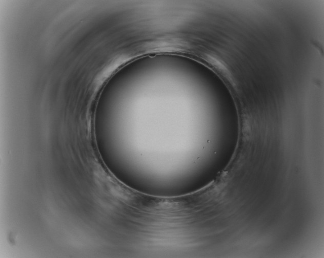 X0000103491419200809191912