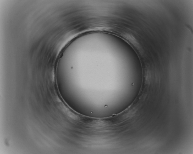 X0000103491420200809191912