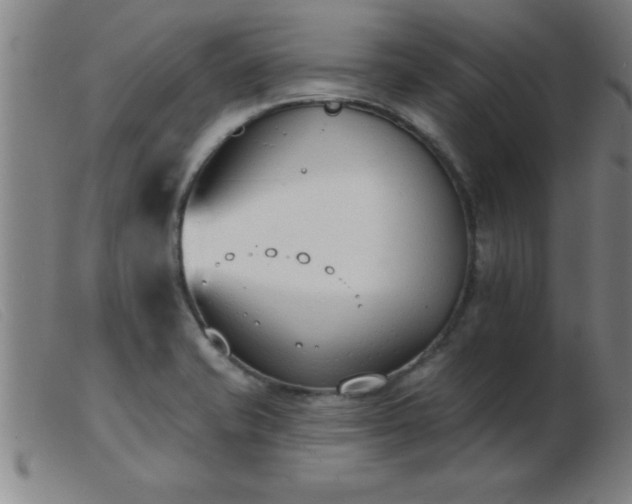 X0000103491421200809191912