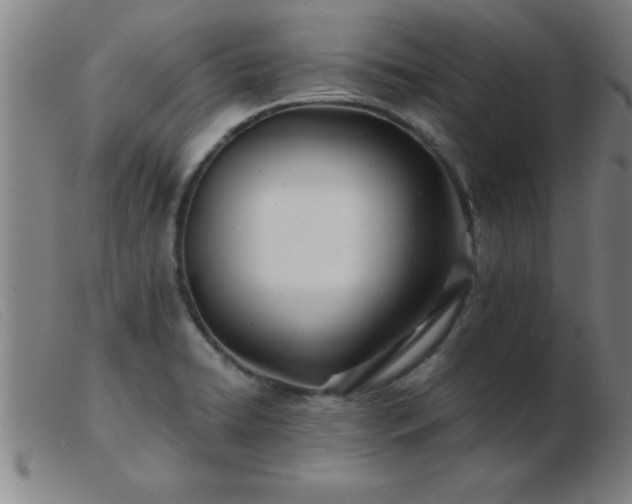 X0000103491422200809191912