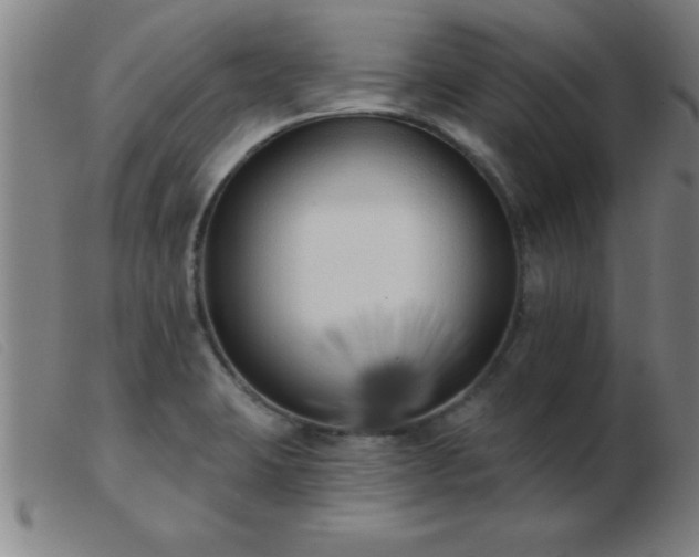 X0000103491423200809191912