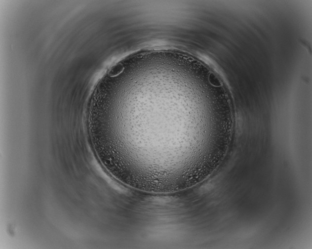 X0000103491429200809191912