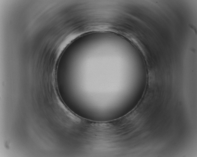 X0000103491432200809191912