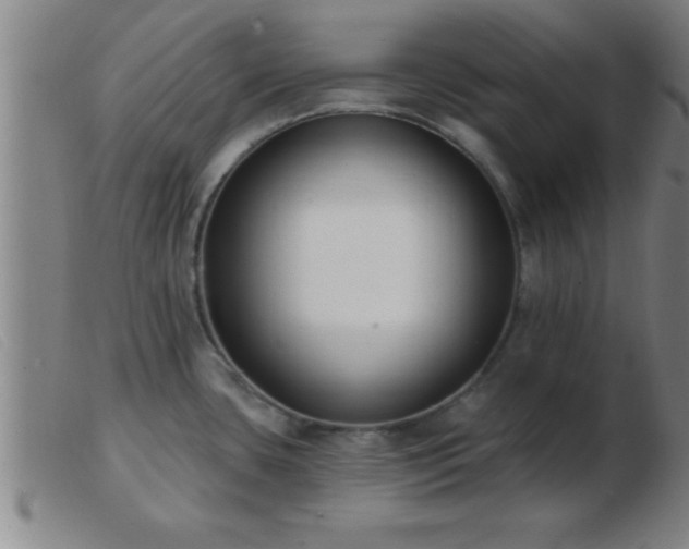 X0000103491435200809191912