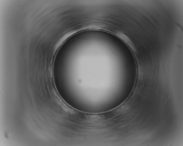 X0000103491436200809191912