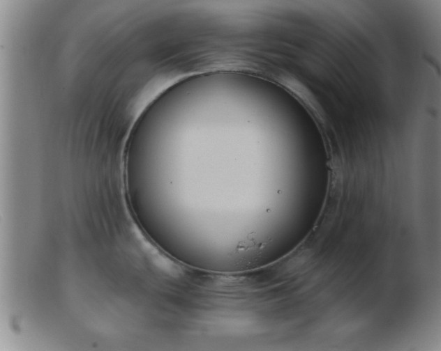 X0000103491439200809191912