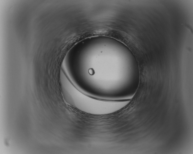 X0000103491441200809191911