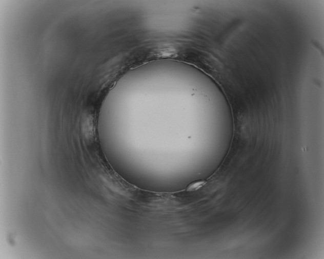 X0000103491442200809191911