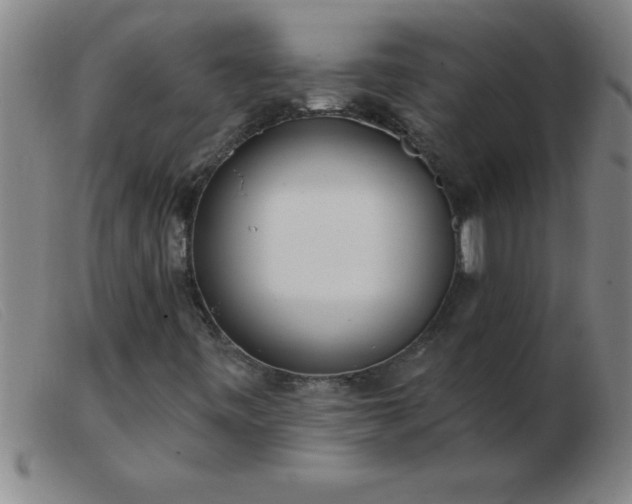 X0000103491443200809191911