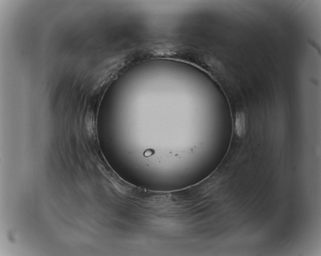 X0000103491444200809191911