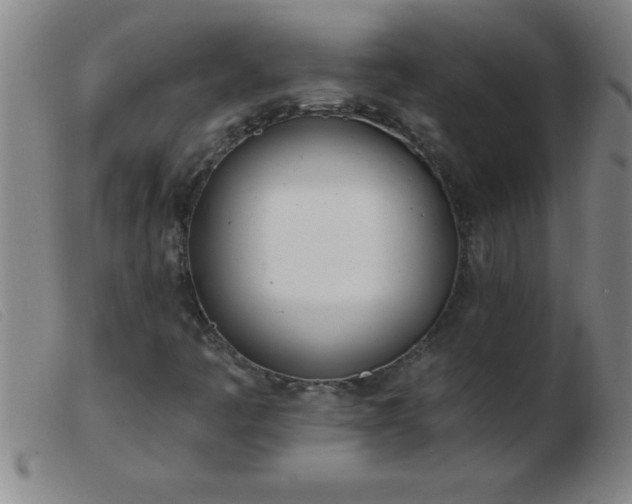 X0000103491445200809191911