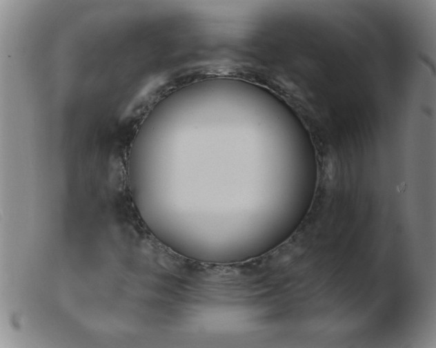 X0000103491446200809191911