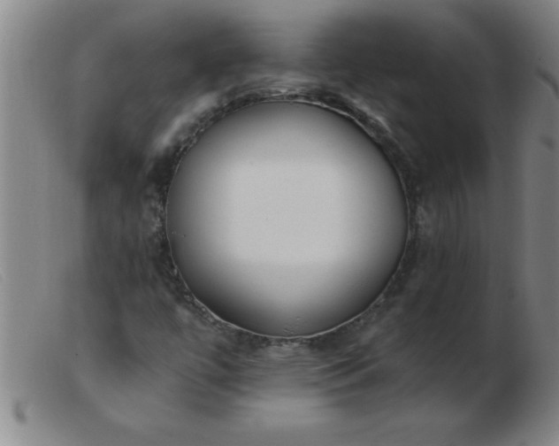 X0000103491447200809191911