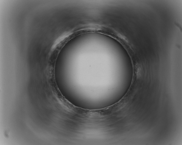 X0000103491448200809191911