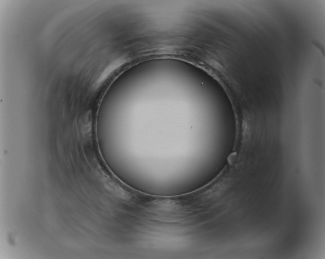 X0000103491450200809191911