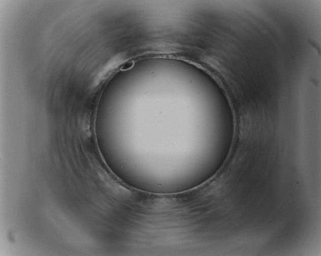 X0000103491451200809191911