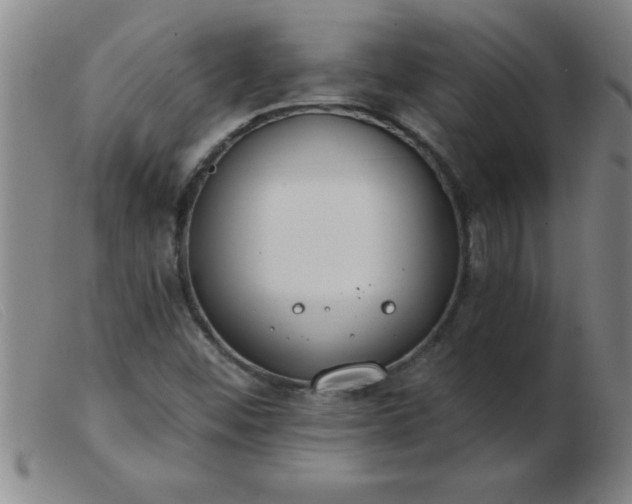 X0000103491452200809191911