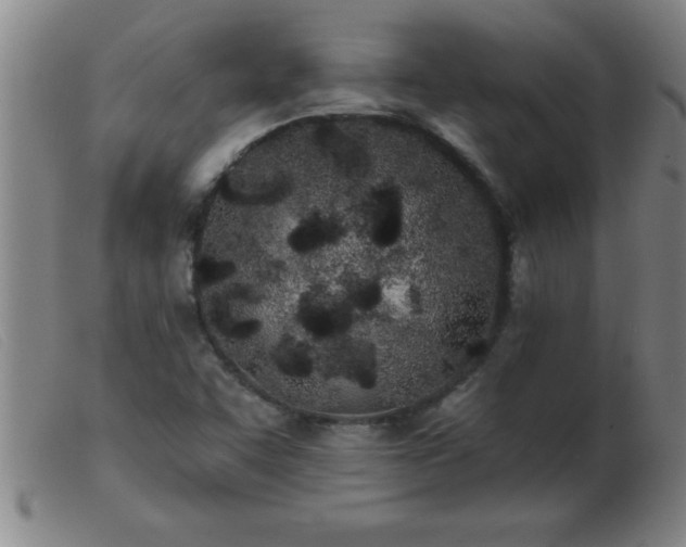 X0000103491455200809191911