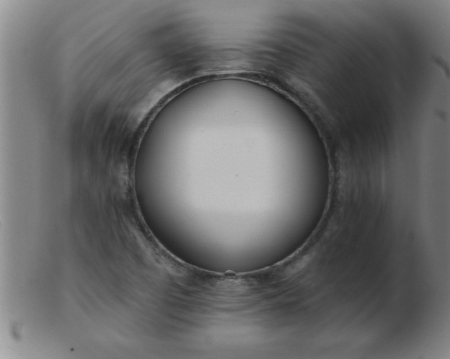 X0000103491457200809191911