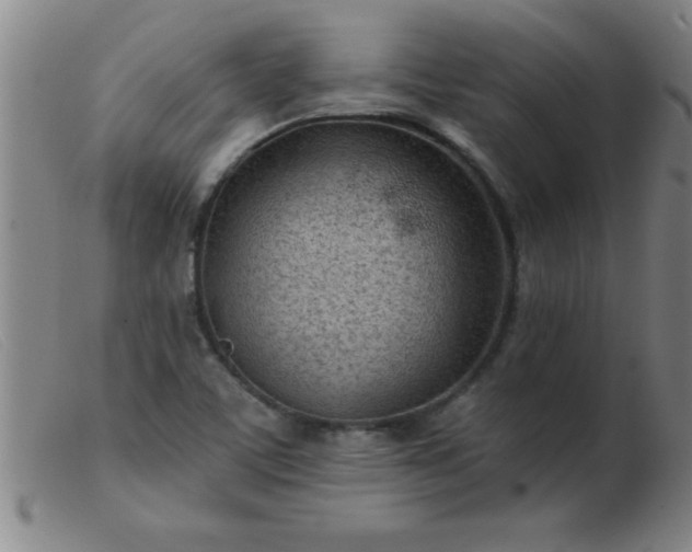 X0000103491459200809191911