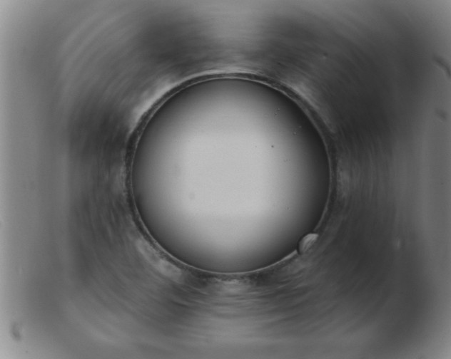 X0000103491460200809191911