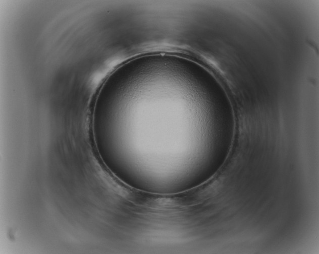 X0000103491463200809191911