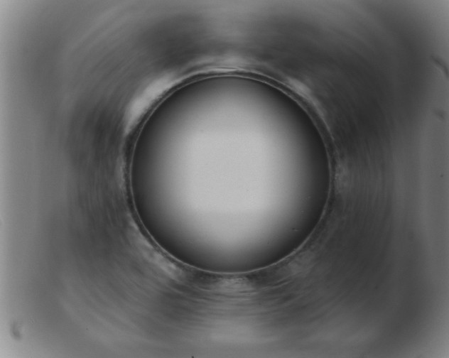 X0000103491464200809191911