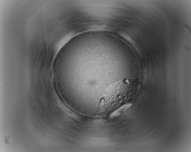 X0000103491467200809191911