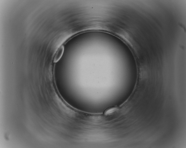 X0000103491468200809191911